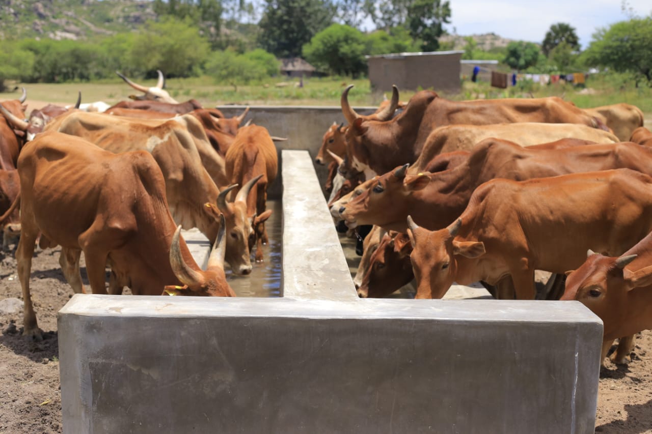 Water Project in Kitongo villagers